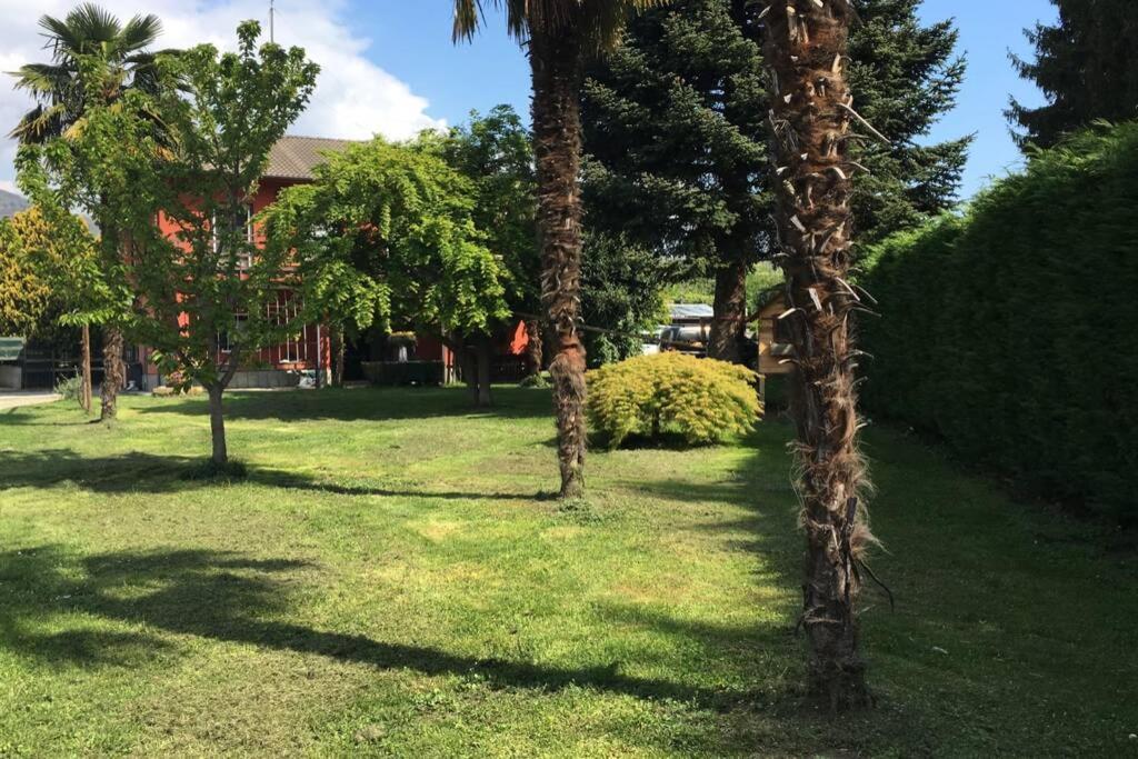Garola Coccode Apartment Luserna San Giovanni Exterior photo